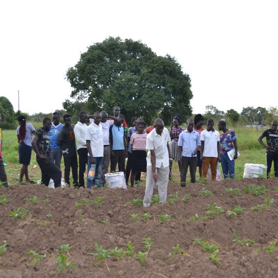 DEVELOPMENT INITIATIVE FOR NORTHERN UGANDA (DINU) <br>WITH AMELO TECHNICAL INSTITUTE